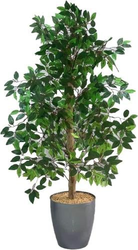 شجرة ليمون مع قاعدة بلاستيك ارتفاع 120 سم العرض 40...