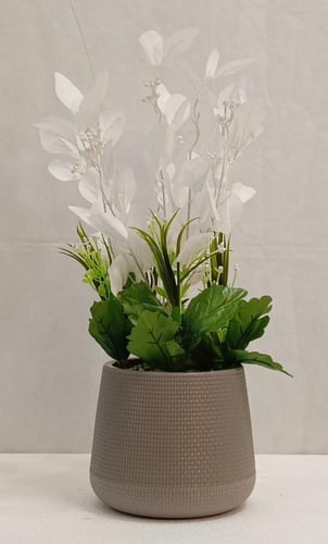 شجرة ورد مع حوض بلاستيك الارتفاع 50 سم العرض 25 سم