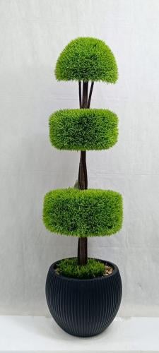 شجرة ثيل مع مركن اصيص الارتفاع 130 سم العرض 30 سم