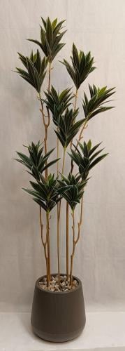 شجرة صبار مع حوض بلاستيك ارتفاع 180 سم العرض 40 سم