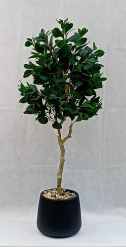 شجرة ورق شجر مع حوض بلاستيك ارتفاع 120 سم العرض 45...