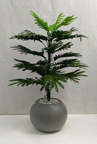 شجرة نخلة مع مركن اصيص الارتفاع 80 سم العرض 40 سم