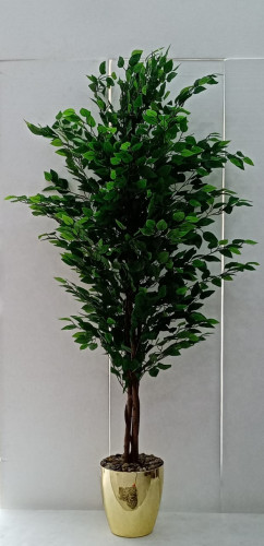 شجرة ليمون مع مركن فيبر ارتفاع 190سم