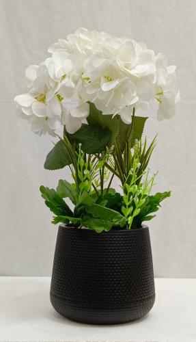 شجرة ورد مع حوض بلاستيك الارتفاع 50 سم العرض 25 سم