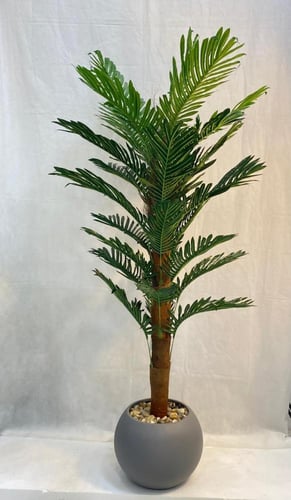 مركن اصيص نخلة قش ارتفاع 170 سم العرض 60 سم