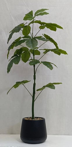 شجرة نجمة حوض بلاستيك الارتفاع 120 سم العرض 30 سم