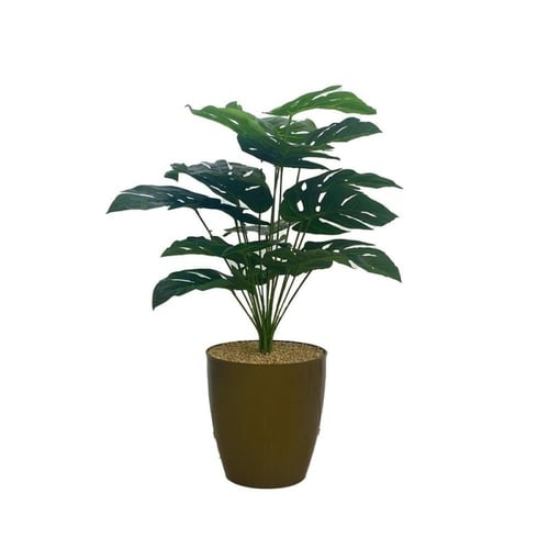 شجرة ورق نجمة مع قاعدة بلاستيك أرتفاع 85 سم