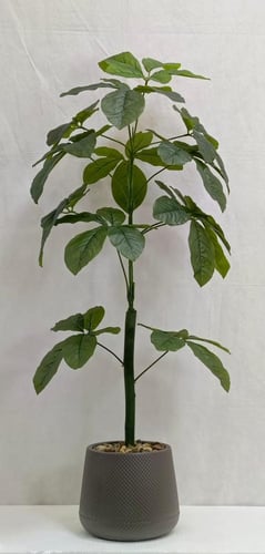 شجرة نجمة حوض بلاستيك الارتفاع 120 سم العرض 30 سم