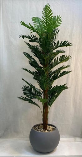 شجرة نخلة قش مع مركن اصيص ارتفاع 180 سم العرض 60 س...