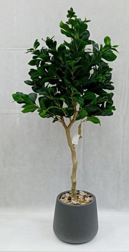 شجرة ورق شجر مع حوض بلاستيك ارتفاع 120 سم العرض 45...