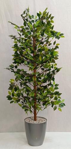 شجرة ليمون مع قاعدة بلاستيك ارتفاع 150سم العرض 40...