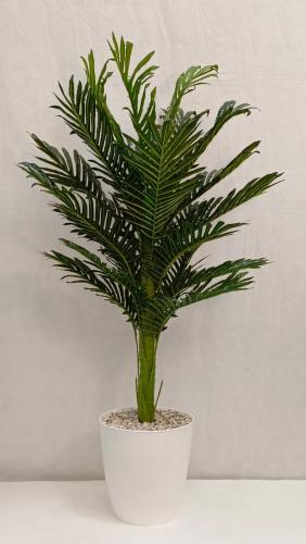 شجرة نخلة مع قاعدة بلاستيك ارتفاع 130 سم العرض 50س...