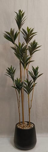 شجرة صبار مع حوض بلاستيك ارتفاع 180 سم العرض 40 سم