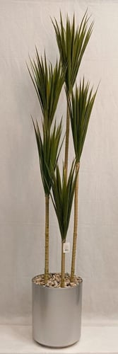 شجرة صبار مع مركن فيبر ارتفاع 210 سم العرض 60 سم