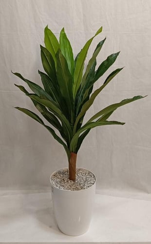 شجرة ورق ذرة الارتفاع 110 سم