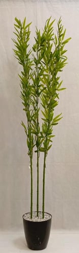 شجرة بامبوا مع قاعدة بلاستيك ارتفاع 200 سم