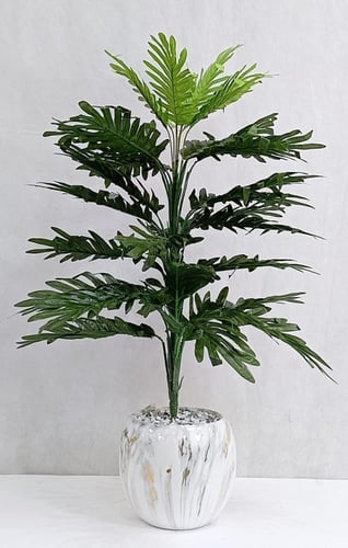 شجرة نخلة مع مركن سيراميك الارتفاع 80 سم العرض 35...