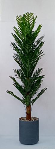 شجرة نخلة مع مركن فيبر ارتفاع 200 سم العرض 60 سم