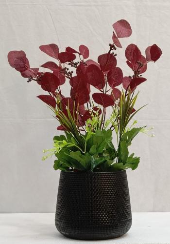 شجرة ورد مع حوض بلاستيك الارتفاع 50 سم العرض 25 سم