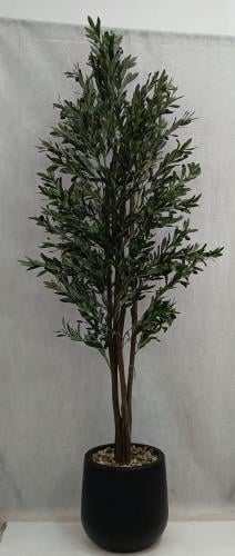 مركن اصيص زيتون ارتفاع 210 سم العرض 60 سم