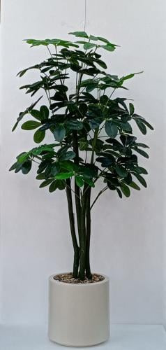 شجرة نجمة مع مركن فيبر ارتفاع 160سم العرض 70 سم