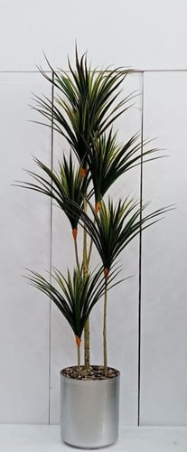 اشجار صناعية ورق صيار ارتفاع 215 سم عرض الشجره 70س...