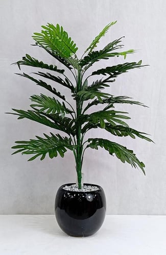 شجرة نخلة مع مركن سيراميك الارتفاع 80 سم العرض 35...