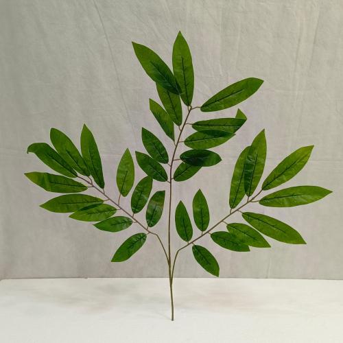 ورق بامبوا خام ارتفاع 60 سم العرض 50 سم