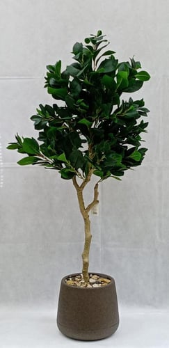 شجرة ورق شجر مع حوض بلاستيك ارتفاع 120 سم العرض 45...