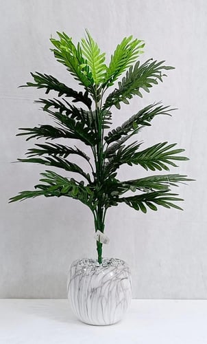 شجرة نخلة مع مركن سيراميك الارتفاع 80 سم العرض 35...