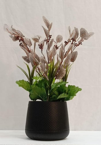 شجرة ورد مع حوض بلاستيك الارتفاع 50 سم العرض 25 سم