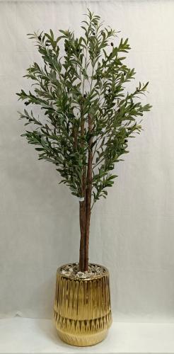 سيراميك زيتون الارتفاع 190 سم العرض 50 سم