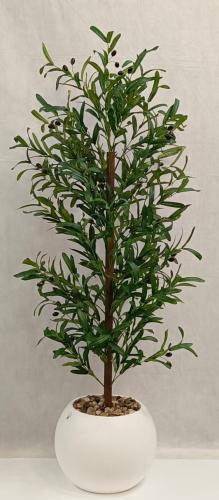 شجرة زيتون مع مركن اصيص الارتفاع ١٥٠ سم العرض ٥٠ س...