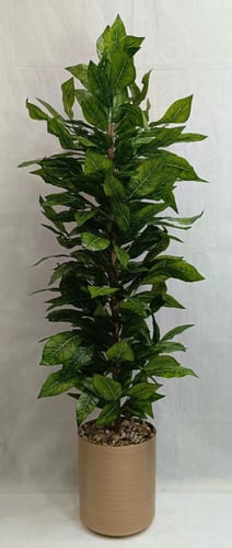 شجرة فايتكوس مع مركن فيبر أرتفاع 180سم العرض 40 سم