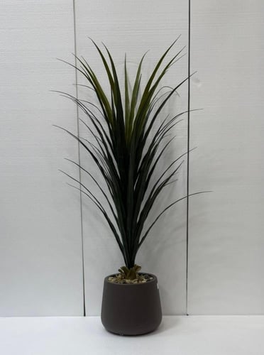 حوض بلاستيك العنكبوت ارتفاع 120 سم العرض 70 سم