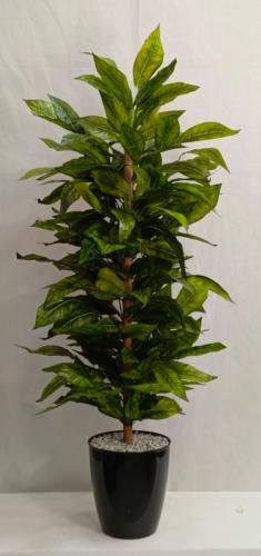 شجرة فايتكس مع قاعدة بلاستيك ارتفاع 150 س