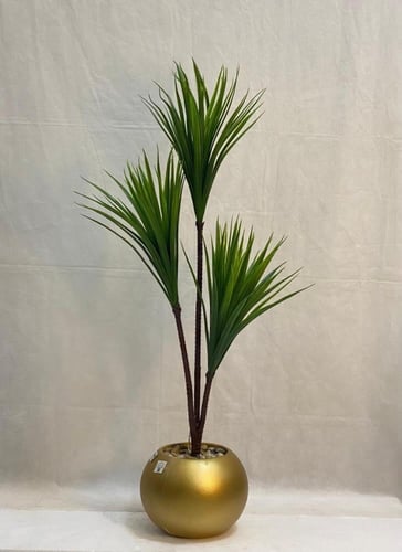 شجرة الصبار مع مركن اصيص الارتفاع 105 سم العرض 40...