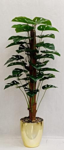 شجرة قش نجمة مع مركن فيبر ارتفاع 140 سم العرض 50سم