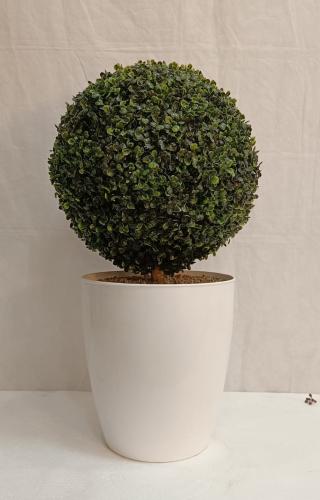 شجرة كورة مع قاعدة بلاستيك الارتفاع 60 سم العرض 30...