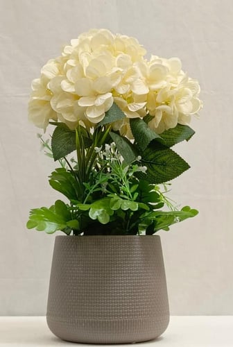 شجرة ورد مع حوض بلاستيك الارتفاع 50 سم العرض 25 سم