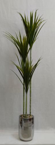 شجرة صبار مع مركن سيراميك الارتفاع 170 سم العرض 30...