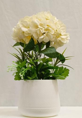 شجرة ورد مع حوض بلاستيك الارتفاع 50 سم العرض 25 سم