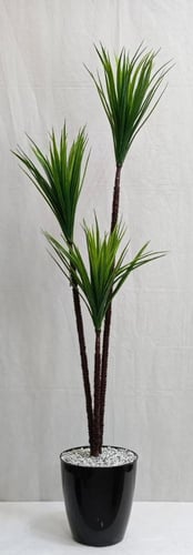 شجرة صيار مع قاعدة بلاستيك ارتفاع 150 سم عرض الشجر...