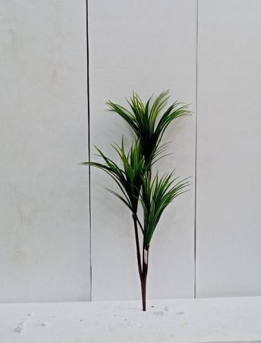 شجرة الصبار خام الارتفاع 100 سم العرض 30 سم