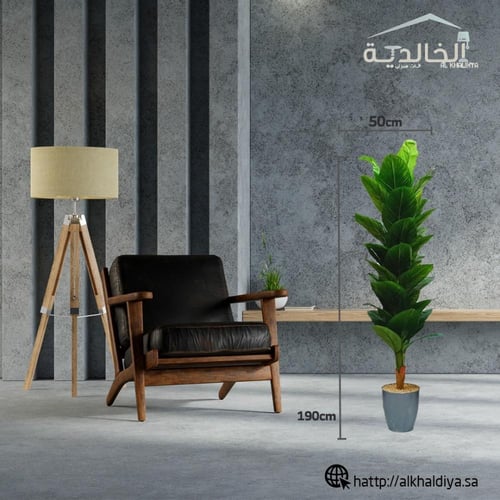 شجرة موز مع قاعدة بلاستيك الارتفاع 190 سم العرض 50...