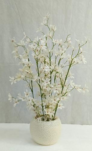 شجرة ورد مع مركن اصيص ارتفاع 65 سم العرض 20 سم