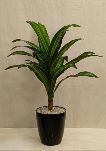 شجرة ورق ذرة الارتفاع 110 سم