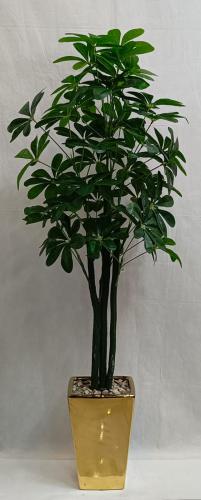 شجرة نجمة مع مركن سيراميك الارتفاع 170 سم العرض 50...