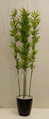 شجرة بامبوا مع قاعدة بلاستيك ارتفاع 140 سم العرض 4...