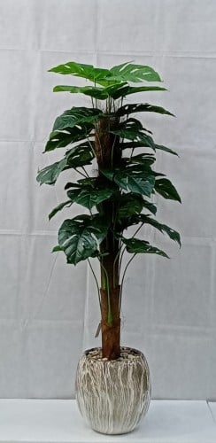 شجرة نجمة قش مع مركن سيراميك ارتفاع 130 سم العرض 5...